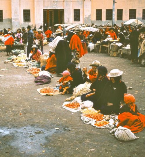 vintageeveryday: Photos of Ecuador in 1959.