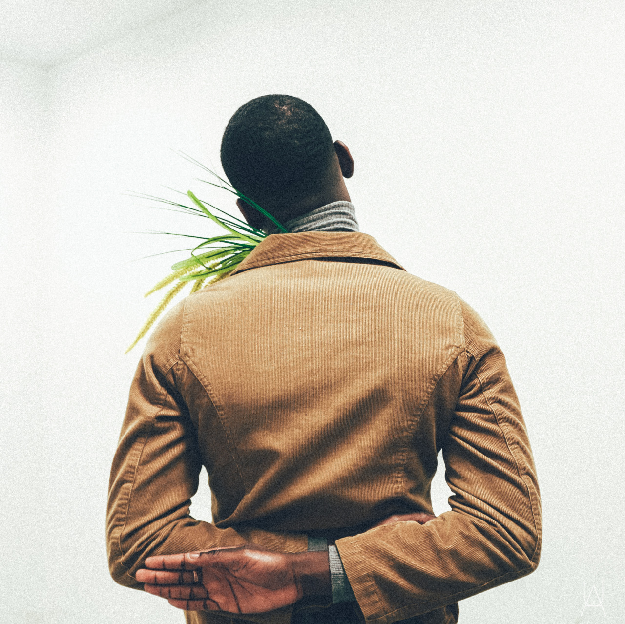 urkeltheandroid:  Pistachio. ijosefadamu - model#uaimages