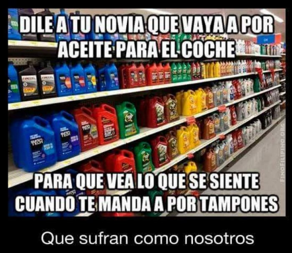 Bienvenido a post de humor y gatos