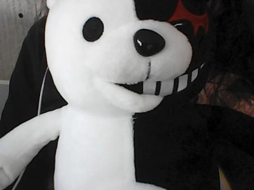 Just Some Monokuma And Monomi Pic