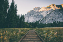 whitefireprincess:  Yosemite National Park