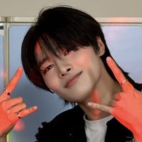 Stray Kids Matching Icons/metadinhas.