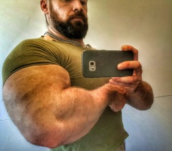 beastpup:  My first good arm-day pump of