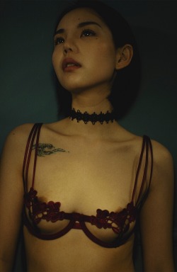 https://69.media.tumblr.com/1c34e1b4e27b5d1106e19bef6c653aaa/tumblr_odkhpoN4o41ryuxmio1_500.jpg