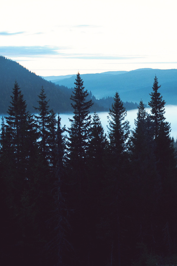 strictly nature