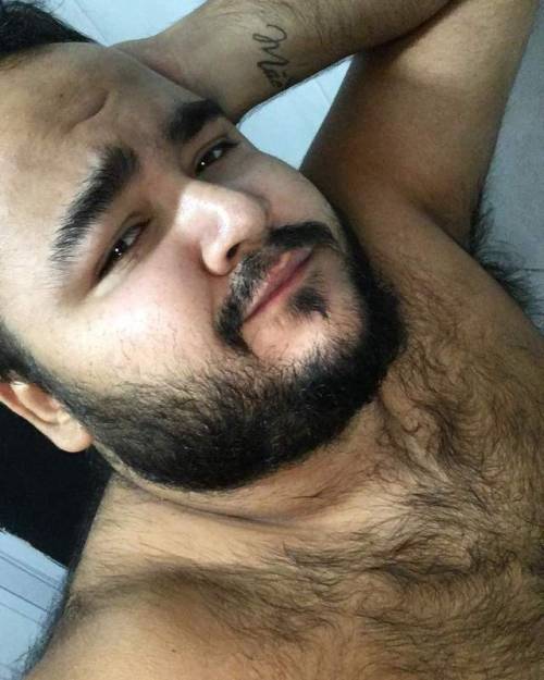 amitbear: bear-hairy: Déjanos tu comentario ✔️ Rebloguea y comparte el contenido si te gustan las fo