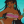 Shelly-14
