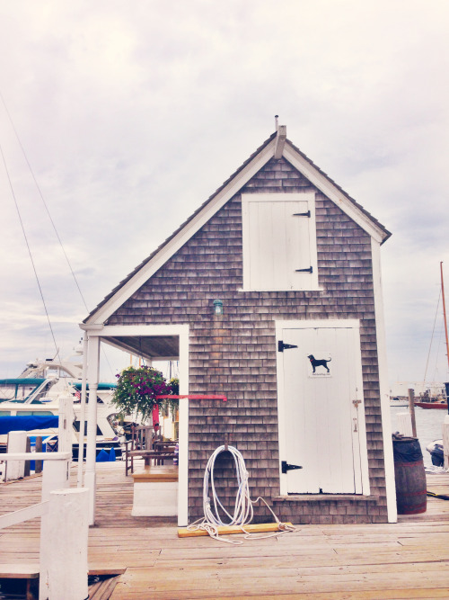 The Cape Cod Prep*