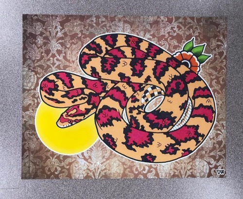 8x10 prints, $10+shipping#cornsnake #okeetee #okeeteecor snake #snakeart #snaketattoo #reptileart 