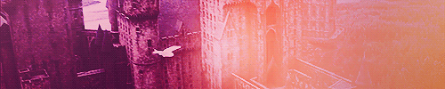 dracolegolas:Harry Potter meme:⟶ Four Locations » 1 : Hogwarts