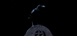 vintagegal:  “People once believed that when someone dies, a crow carries their soul to the land of the dead. But sometimes, something so bad happens that a terrible sadness is carried with it and the soul can’t rest. Then sometimes, just sometimes,