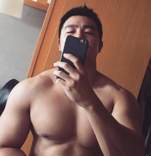 getstiffy:asianmuscleholic:chadyu:マッチョ베어싫은데 얘는 묘하게 좋네…可愛い