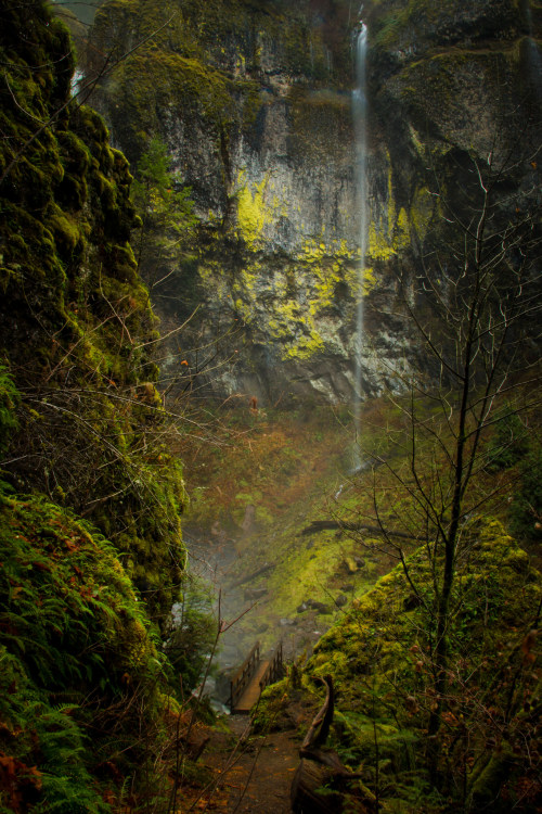 renamonkalou: Gorge TrailTrail 400 crossing McCord Creek at Elowa Falls ~ Columbia River Gorge 