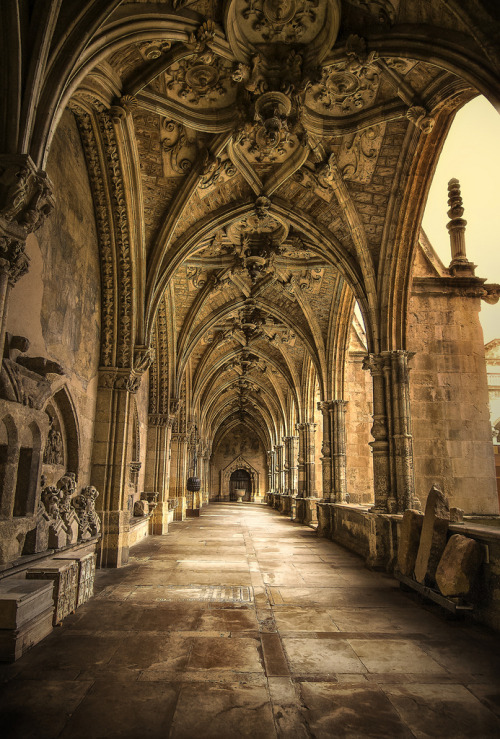 wanderthewood:Cloister in León Cathedral, Spain by Luciti