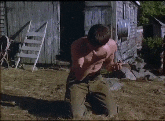 tumblr_p8axqn4mQY1wxtgjco4_540.gifv