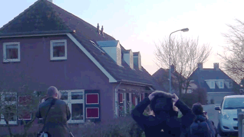 chavisory: clatterbane: becausebirds:Dutch “Terror Owl” finally caught on video. This bi