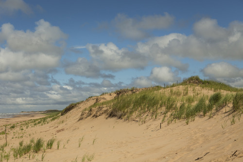 Prince Edward Island National Park