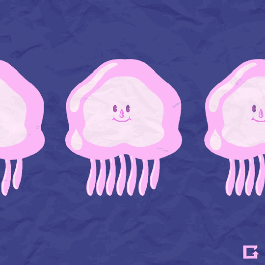 gifnews:  Moon Jellyfish Re-Arranges Limbs To Regain Symmetry