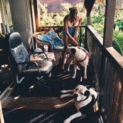 jayalvarrez:  Markina & pups 2014 w/