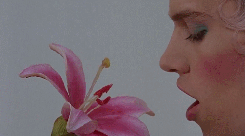 slaughteringbunnies:Velvet Goldmine (1998) dir. Todd Haynes