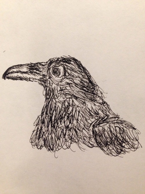 So, I Drew Some Birbs! They're Both Supposed To Be Ravens, But, The One On The Left Looks More Like A