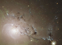 the-wolf-and-moon:    NGC 1275, Galactic