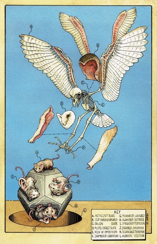 ☽✪☾