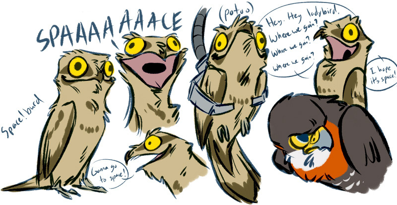 unbadger:  CORE BURDS. at long last. guest-starring orange-breasted falcon!Chell