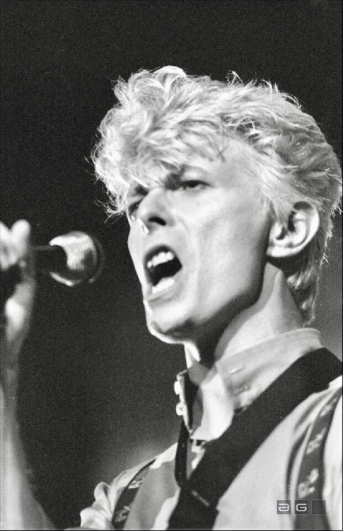 Photo by Allan Tannenbaum. Madison Square Garden, 1983. {analoguegallery.com}