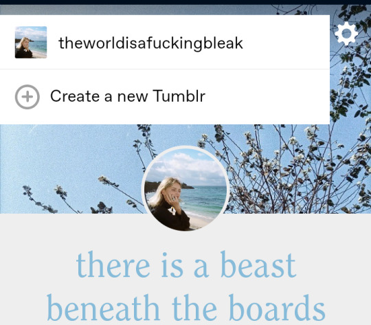 Tumblr media