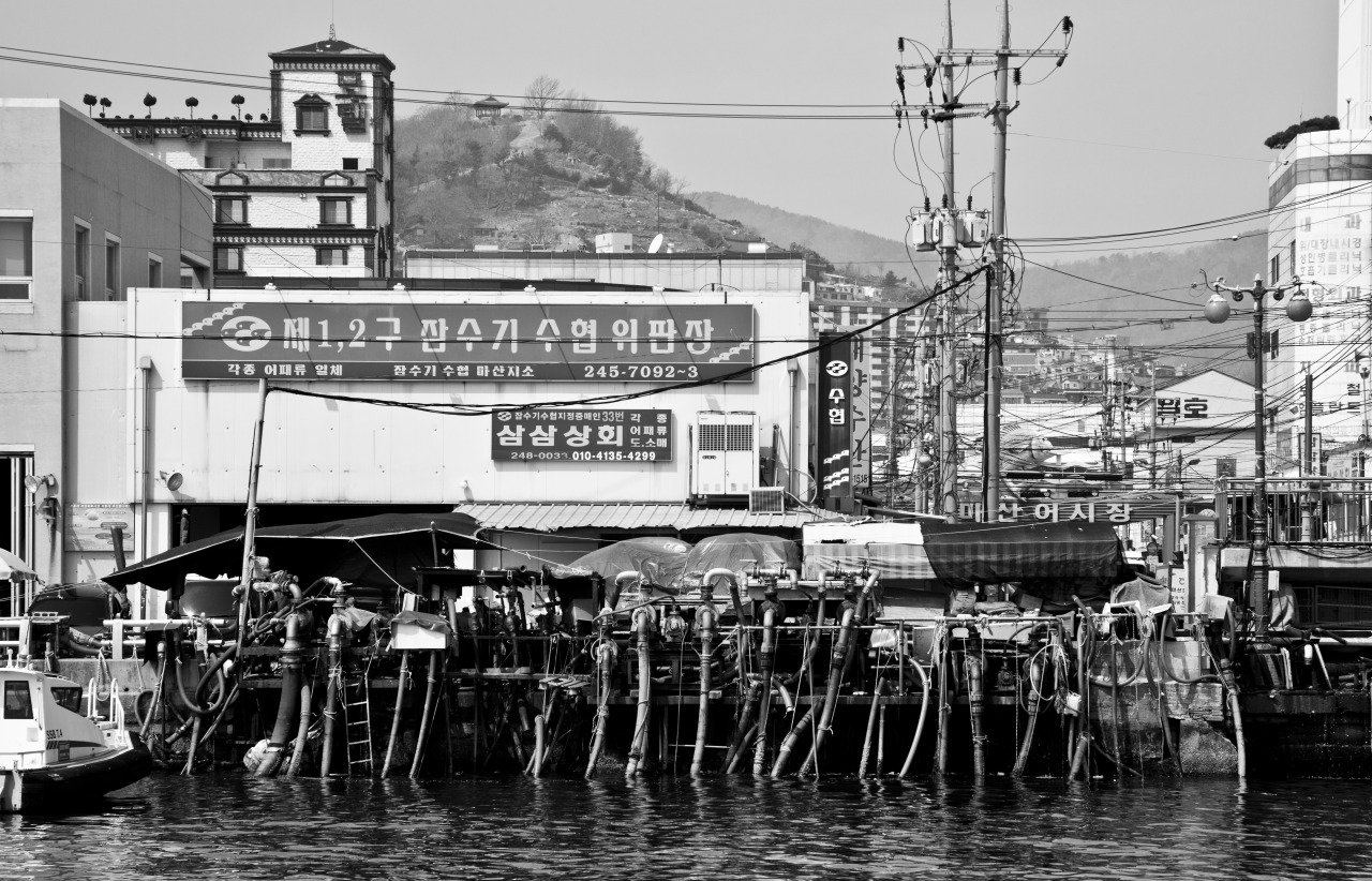 Port of Masan, Korea. 2014.