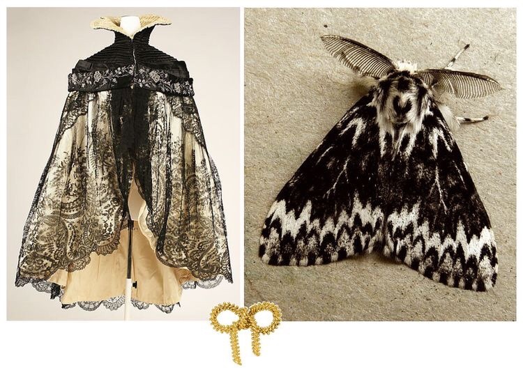 obsle: parliamentrook:  timidfaerie:  1900s french lace cape / black arches moth  aesthetic    Are you wearing the— Moth: the 1900s French cape? Yeah I am 