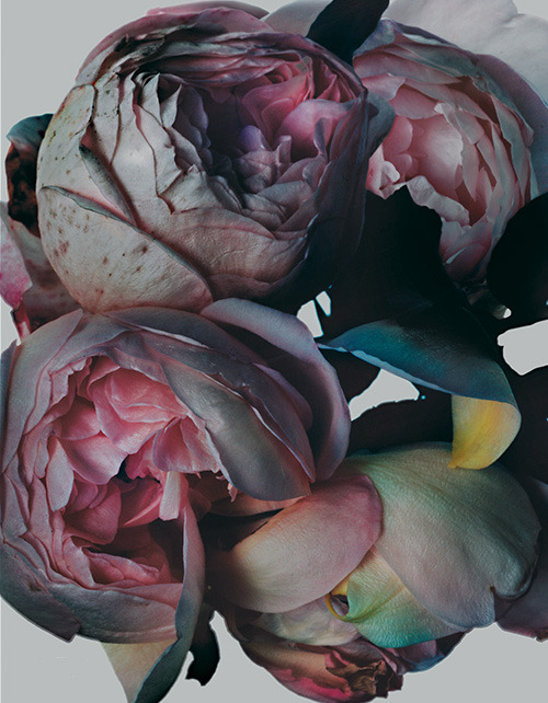 archaeologicals:Nick Knight