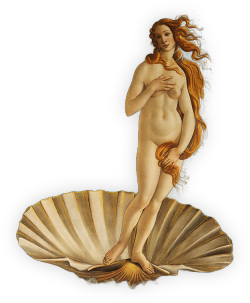 totallytransparent:  Transparent Venus (from