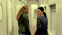 a-ripley:    favorite horror movies: hostel: part ii (2007)   