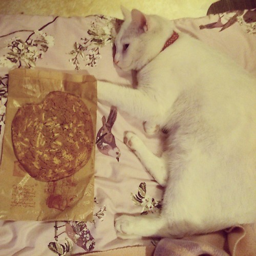 #meko protecting our huuuge #cookie from #boroughmarket  :’D #nom #cat #goodies