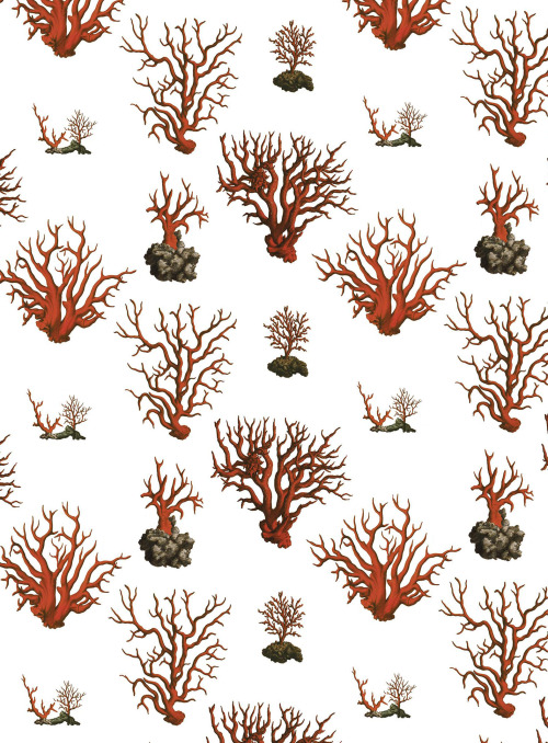 Red coral pattern by me