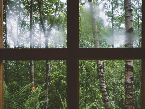 A cabin in the Pyrenees