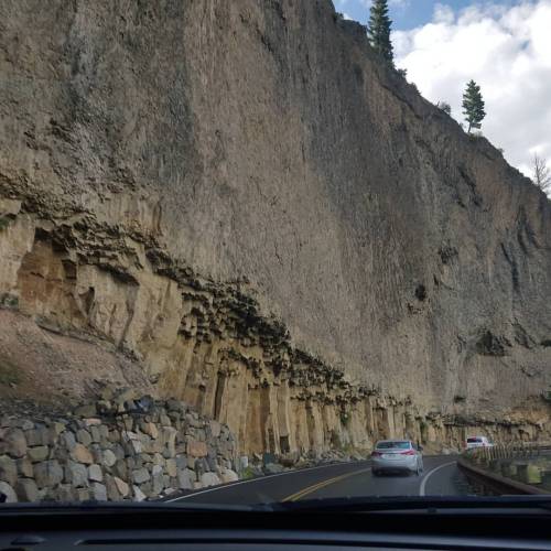 joshuasaksa:The highway through the park has many geological features like this complex sedimentary 