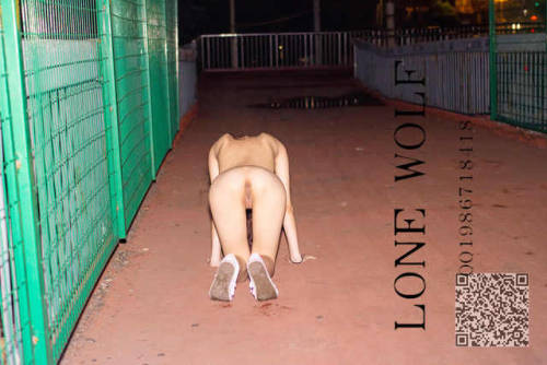 lwvision: Lone Wolf 外拍