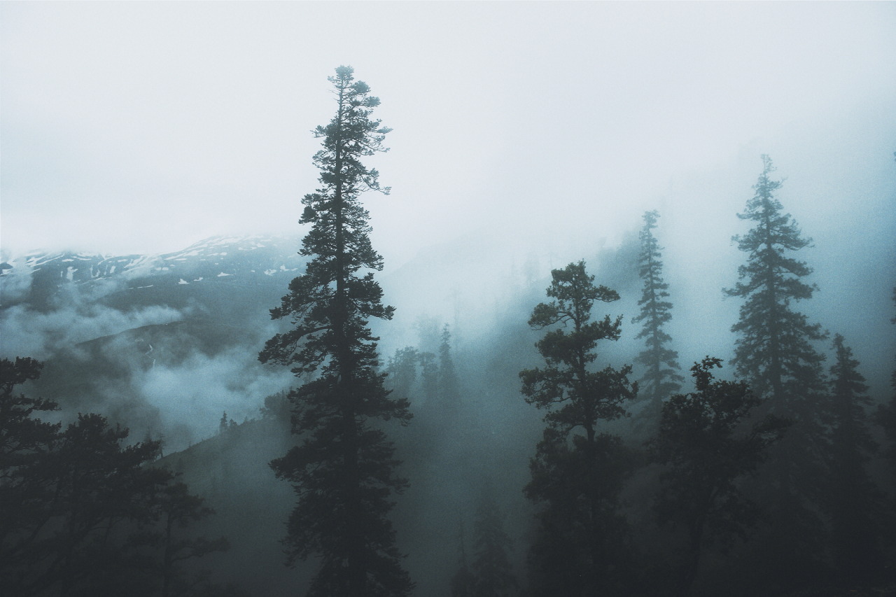 expressions-of-nature:  by Ramandeep SinghManali, India