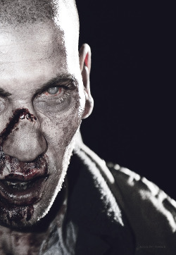  favourite characters  Shane Walsh, The Walking