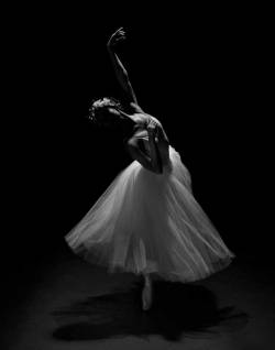 artemisdreaming:     To dance is to reach for a word that doesn’t exist,To sing the heartsong of a thousand generations,To feel the meaning of a moment in time.Beth Jones Images:  Keiko Guest, The Lowe Gallery (see in lightbox for individual titles)