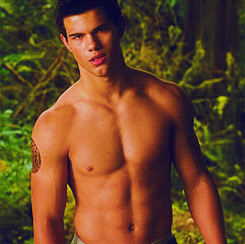 Taylor Lautner