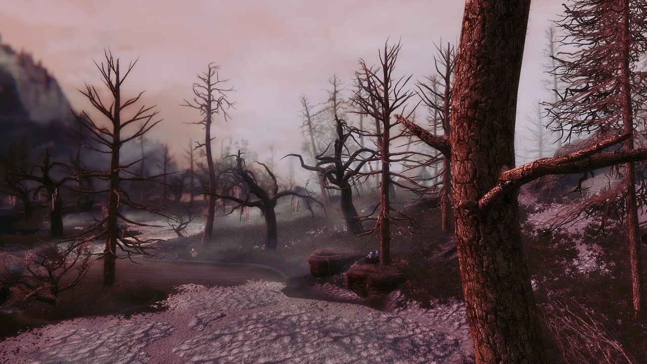 darkfantasyskyrim:sunset in the frozen marshes