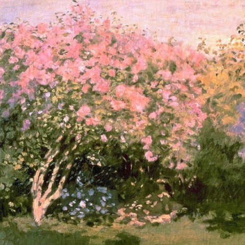 ladyjam13: Moodboard; Claude Monet, Father of Impressionism, he saw the world as an ever-moving blur