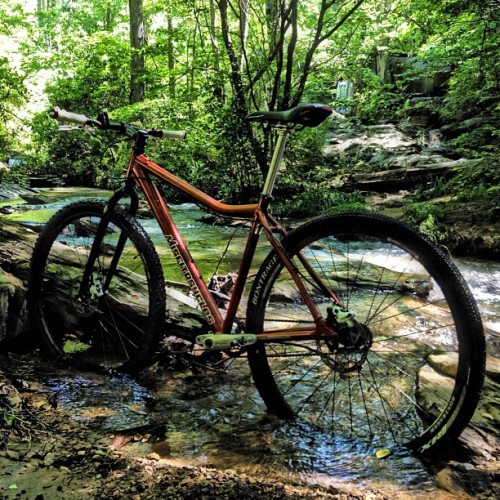 jdunnz:  #misfitpsycles #dissent #29er #mtb #singlespeed #bikeporn #biking #hdr #outdoors #landscape