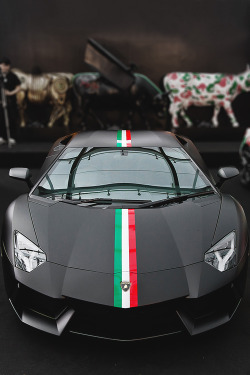 johnny-escobar:  Matte Black Aventador 