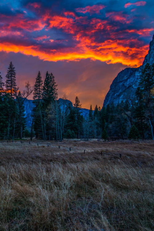 midwestbison:Meadow Sunset by Mark Cote