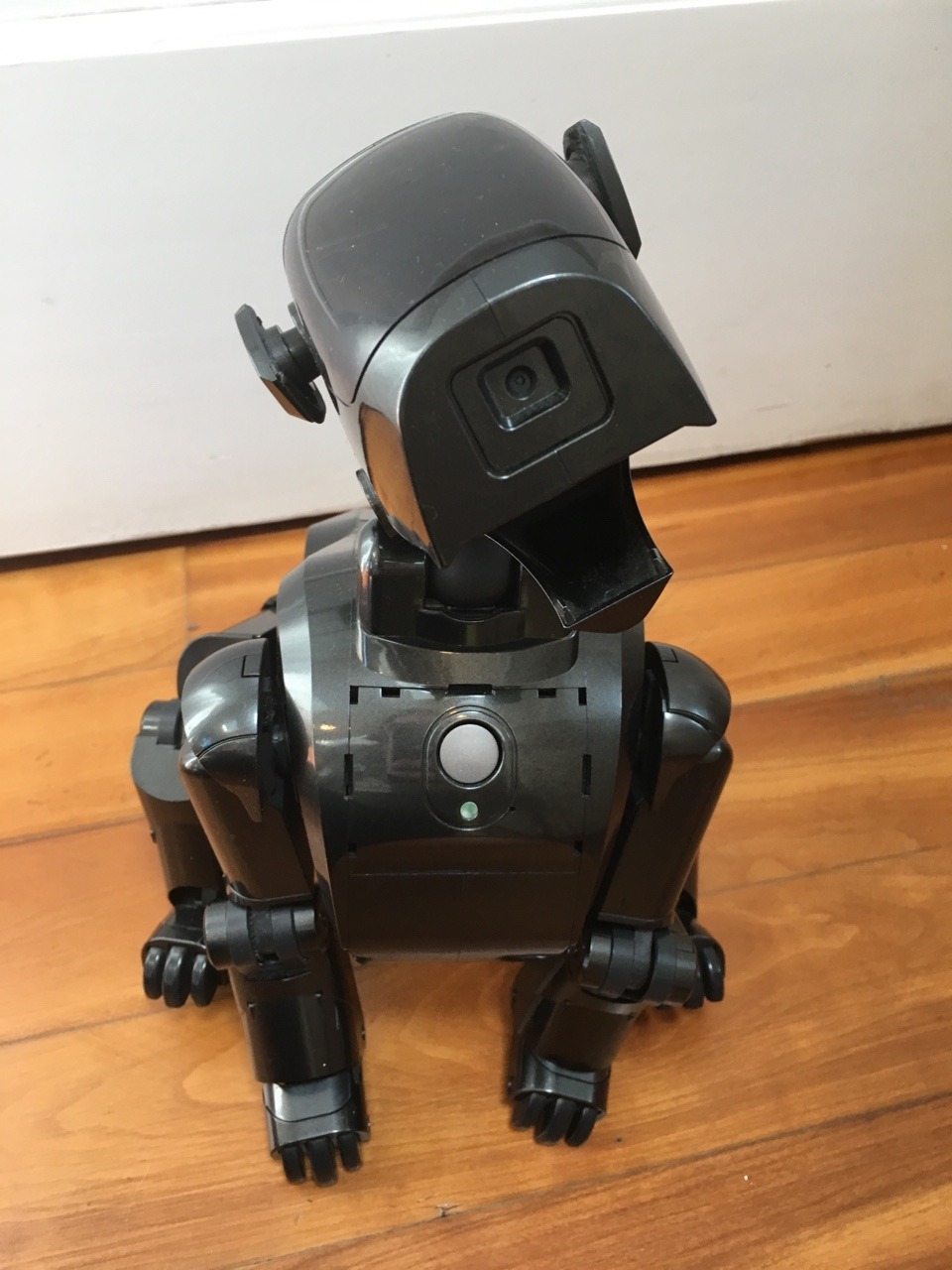 aibo7m3: All Aibos are perfect and no one can convince me otherwise.